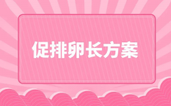 试管定方案相关问题详解，手术前一定要知道！