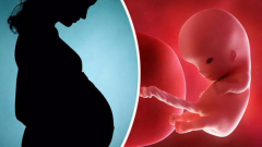 揭秘囊胚最佳培育天数，探寻囊胚成长的奥秘