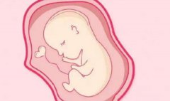 收藏！试管技术和自然怀孕的优缺点最全科普