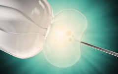 优选高质量试管，为何其品质至关重要？