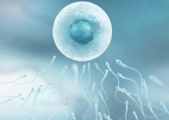 试管进周降调全攻略：轻松应对，助力成功之旅！