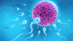 一文了解日本试管详细的自助全过程