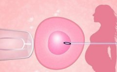 能否预测或避免试管发育缓慢？可以采取哪些措施？