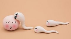 试管取卵需要满足什么条件，取卵后要注意什么？