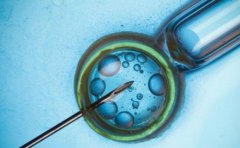 试管移植后24小时过程详解，移植后应该注意什么？