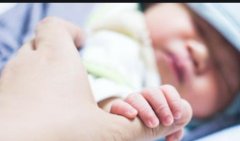 试管移植多少后可能胎停？关注这些风险因素