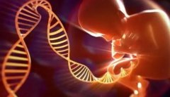 试管移植肚子疼是怎么回事?小心有生命危险!