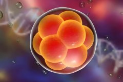 试管移植后如何促进成功着床?试管移植孕酮和着床有哪些注意事项?