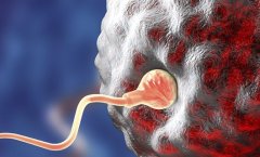 什么是孕酮?试管移植后孕酮多少正常?