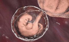 试管移植后能不能长期坐？试管移植后需要注意些什么？