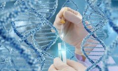 什么是自然周期试管移植?自然周期试管移植成功率如何?