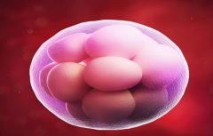 试管移植40天要做什么?停止使用黄体酮会导致流产吗?