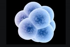 冻囊可以试管移植吗?有没有相关成功案例?