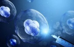 试管移植后有哪些症状?肚子疼正常吗?