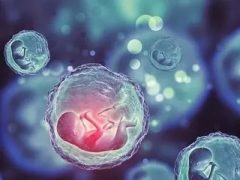 马来西亚试管之旅启程：医院预约全攻略，备孕之路更顺畅！