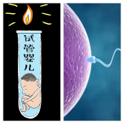 福建试管医院大比拼：权威排名与全面对比，助您明智选择！