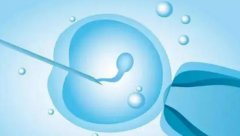 什么是试管二级囊胚，二级囊胚的出现意味着什么？