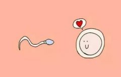 为什么腺肌症试管更易着床？如何治疗腺肌症？