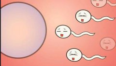 什么是自然周期取卵？为什么选择自然周期取卵？