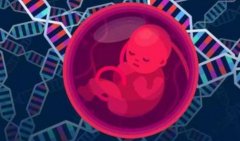 一文了解什么因素影响解冻胚胎移植价格？