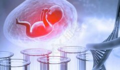 什么是放胚胎？放胚胎成功率有多大？