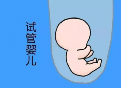 什么是试管三证流程？备孕夫妇需了解