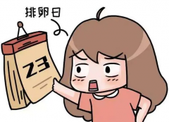 试管失败了会自然排卵吗？是否影响下一次手术？