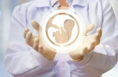 什么是试管冻胚技术?如何进行试管冻胚技术?