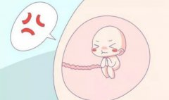 试管移植冻囊的具体流程是什么？需要注意哪些事项？