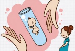 试管收费明细清单的价格是如何计算的？