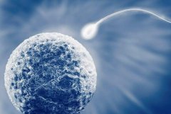 收藏！马来西亚知名医院试管费用明细