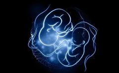 胚胎质量不好的原因是什么?如何提高胚胎品质?