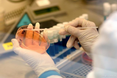 西安知名第三代试管医院，数万家庭信赖背后的专业与卓越