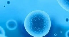 试管移植前后的注意事项,怀孕时间确认注意这些漏诊