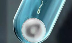 一文详细介绍试管的费用和流程