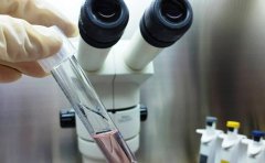 如何选择试管的性别？你需要知道的这些试管常识