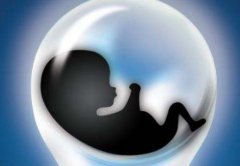 试管移植怎么比较好?胚胎数选几个?