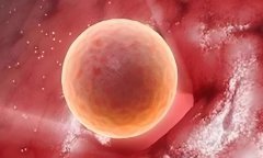 三代试管指的是什么?大连哪家医院可以做三代试管?