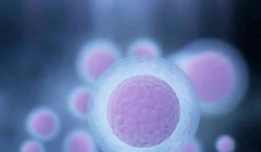 西安三代试管技术优选医院盘点：口碑卓越的医疗机构推荐