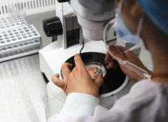 揭秘试管条件：结婚证是否为必备？医生专业解答