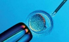 试管移植分为常规法和强化法两种方式，选择一个最好的胚胎进行移植