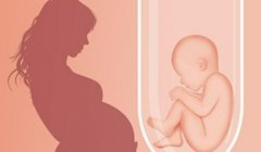 试管医保报销的条件是什么？还可以用什么方法降低费用？