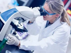 马来西亚三代试管流程和费用详解