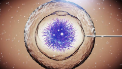 取卵以后胚胎为什么会配对异常？原因有很多