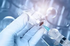 什么是D3胚胎？试管D3阶段为什么很重要？