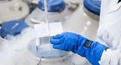 冻胚胎一般在取卵后第几个月可做移植？