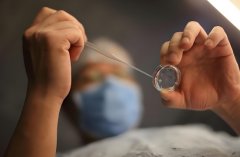 试管卵泡需要多少个?取出的卵子数量与成功率有关系吗?