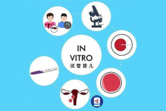 揭秘山东大学生殖医院试管成功率：详细剖析与解读