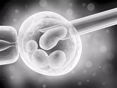 精选济南试管机构全攻略，如何找到最适合您的生育伙伴？