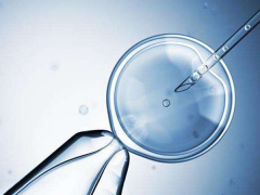 深圳试管医院成功率大比拼：一文助您精选高成功率医疗机构！